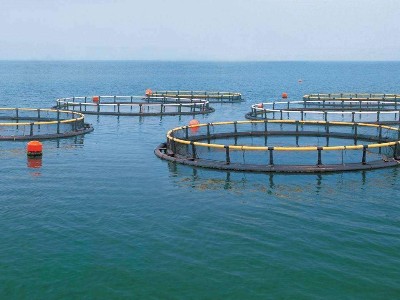 海水养殖专用板式热交换器的材料选择至关重要